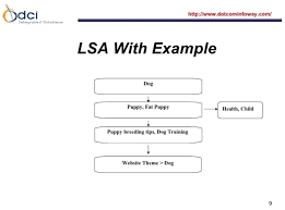 search engine optimisation